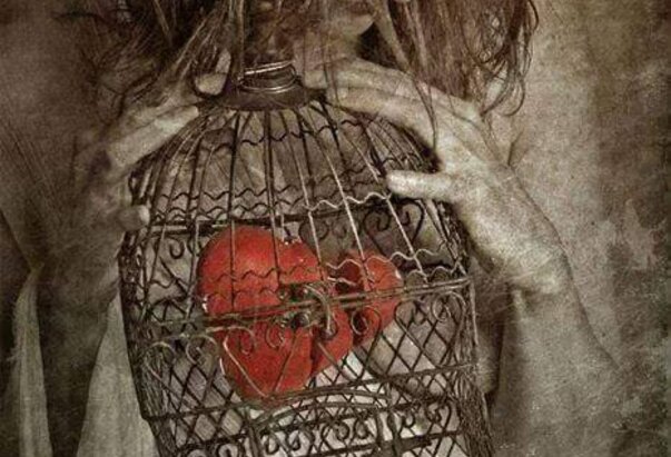 Pustiti da srce krvari