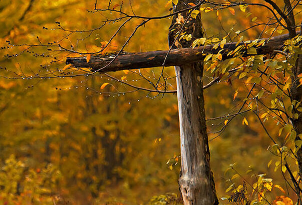 Jer ljubav je Božja u tebi sakrivena