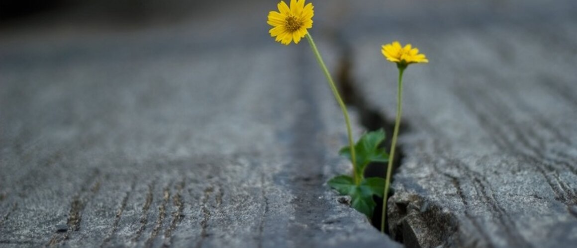 Evo, činim nešto novo