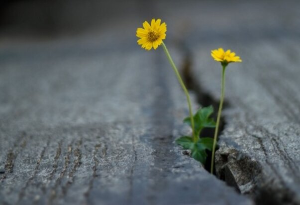 Evo, činim nešto novo