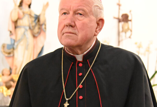 Životopis mons. Stanislava Hočevara, dosadašnjeg beogradskog nadbiskupa i metropolita