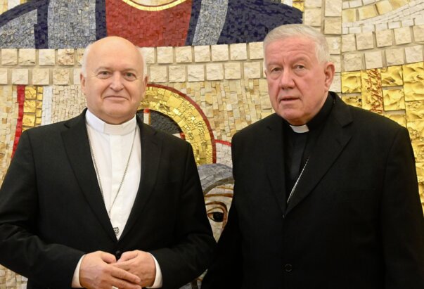 Prijenos Ustoličenja mons. Nemeta iz Beograda