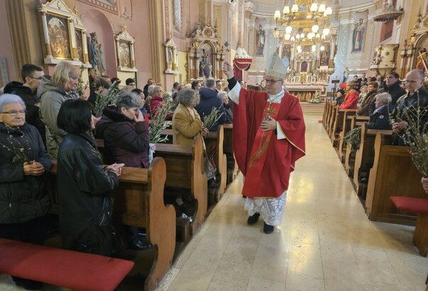 Cvjetnica u Srijemskomitrovačkoj katedrali