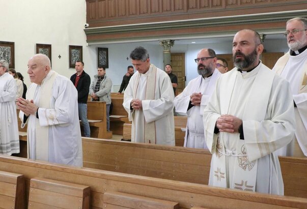 Beogradski nadbiskup i svećenici posjetili Požešku biskupiju