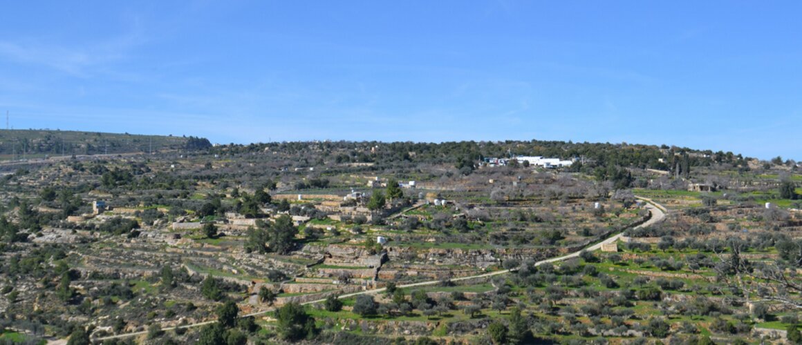 U Negevskoj pustinji otkrivena ranokršćanska crkva s mogućim hodočasničkim crtežima