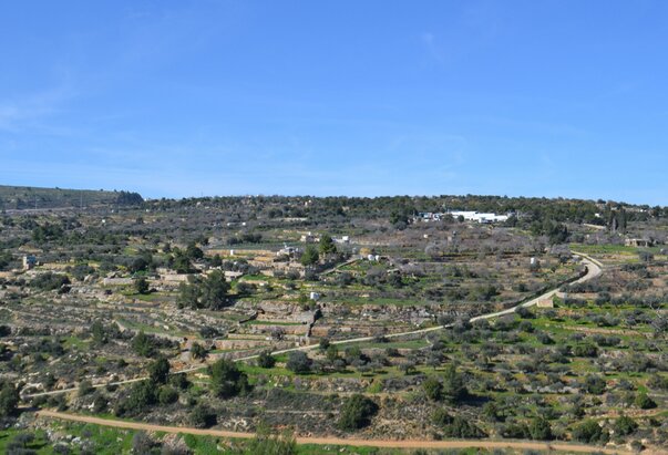 U Negevskoj pustinji otkrivena ranokršćanska crkva s mogućim hodočasničkim crtežima