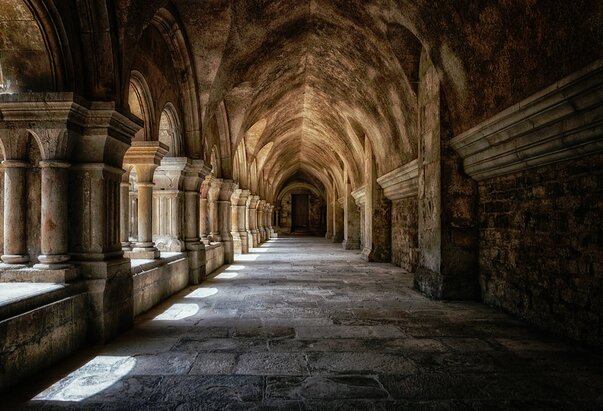 Nizozemska: Redovnički život, suvremeni izbor