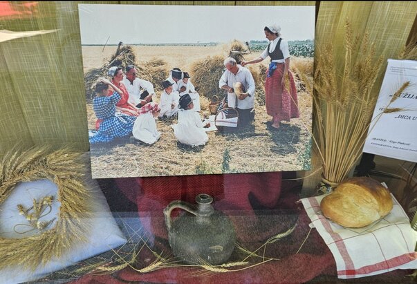 Predstavljen program 114. Dužijance u Subotici