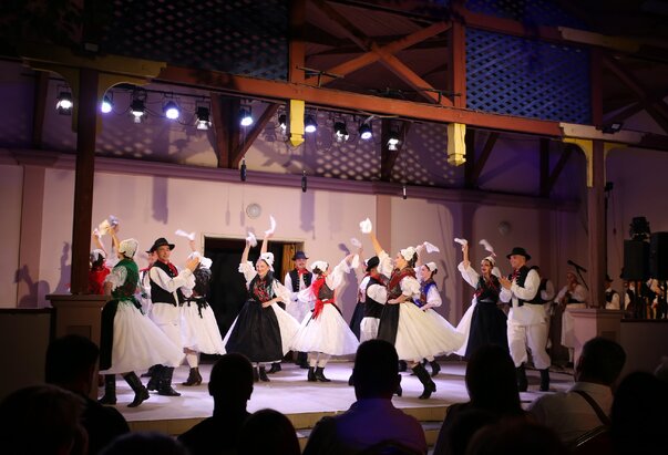 Zajednički koncert zagrebačkog i subotičkog folklornog ansambla