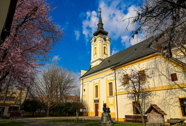 Otvaranje Svete Godine – Jubileja 2025. U Srijemskoj biskupiji