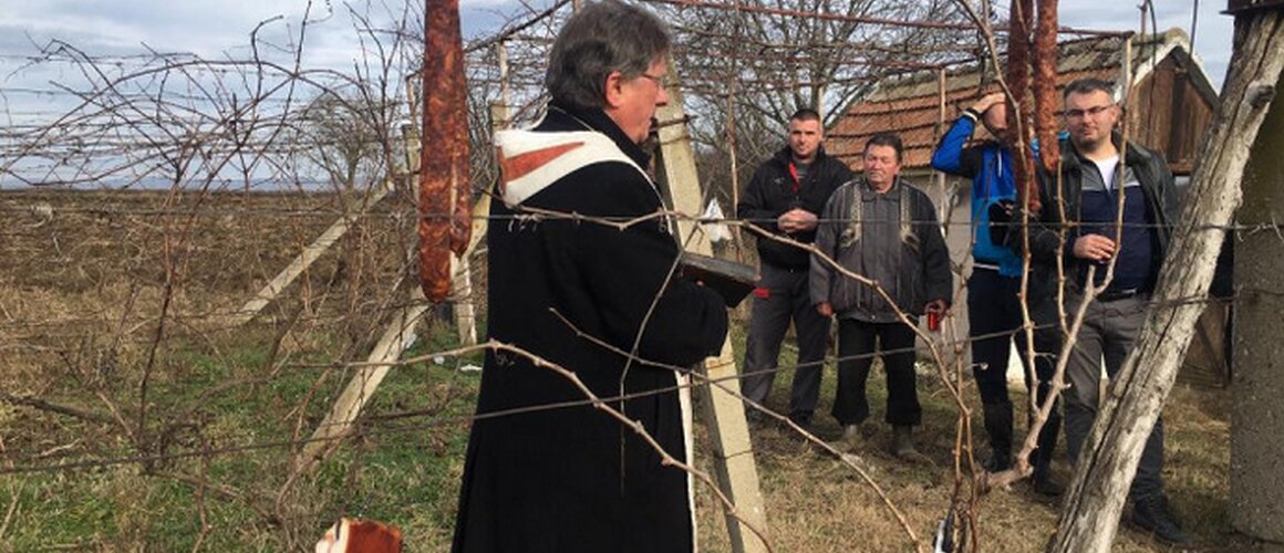 Vinogradarski običaj proslave svetog Vinka (Vincencija) u Rumi