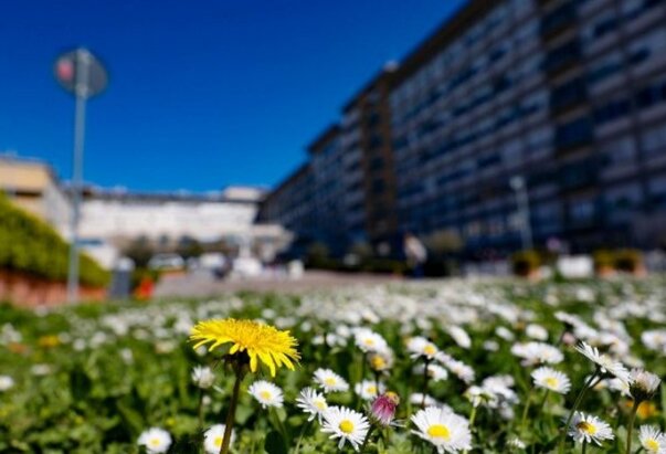 Papa više ne treba mehaničku ventilaciju