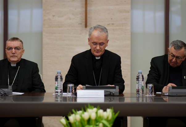 Susret Stalnog vijeća HBK-a s umirovljenim biskupima HBK-a i BK BiH