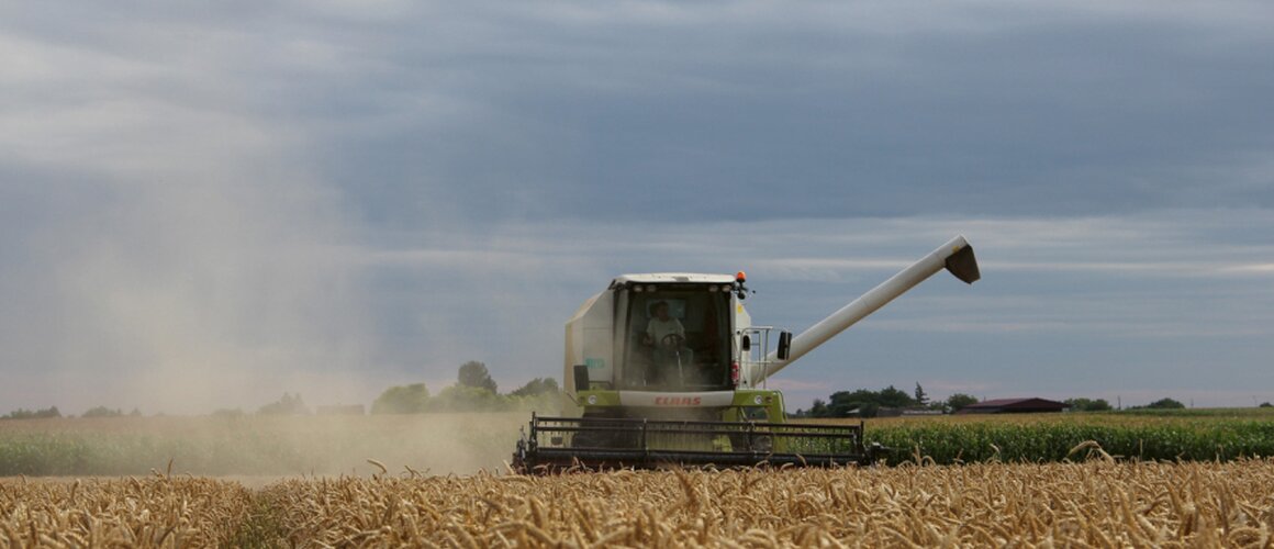 Ječam nadmašio očekivanja, pšenica na dobrom putu