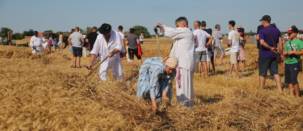 Takmičenje risara 2025.