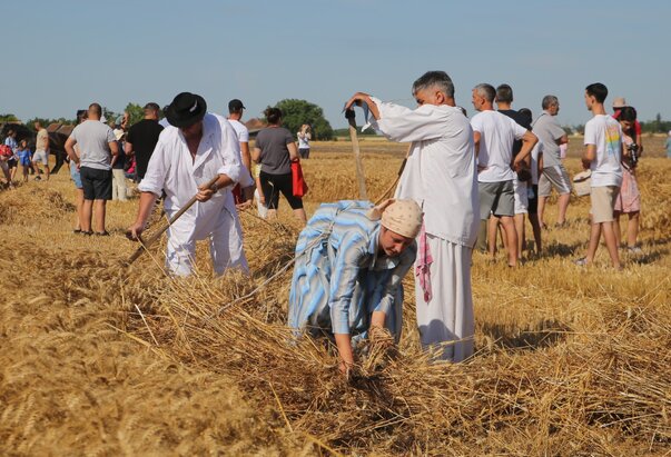 Takmičenje risara 2025.