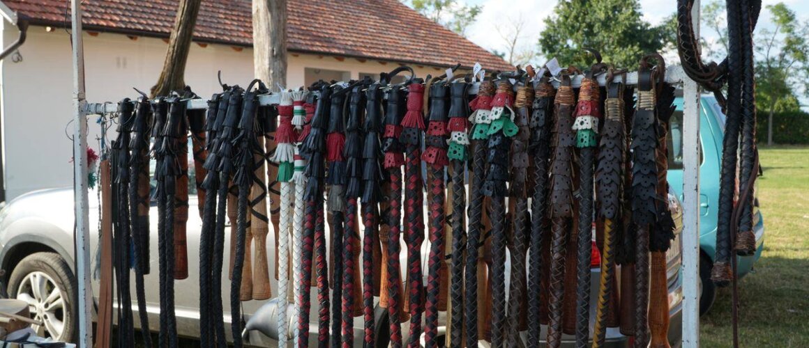 Natjecanje u pucanju bičevima – Čiji švigar bolje puca?