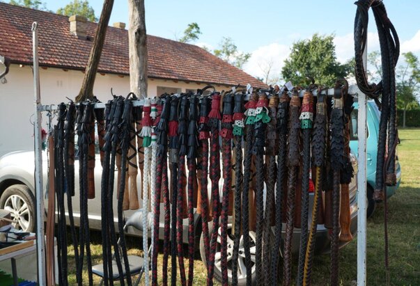 Natjecanje u pucanju bičevima – Čiji švigar bolje puca?