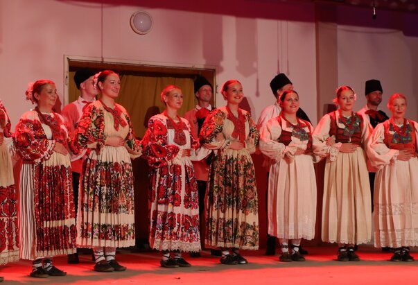 Koncert folkloraša iz Subotice i Čučerja