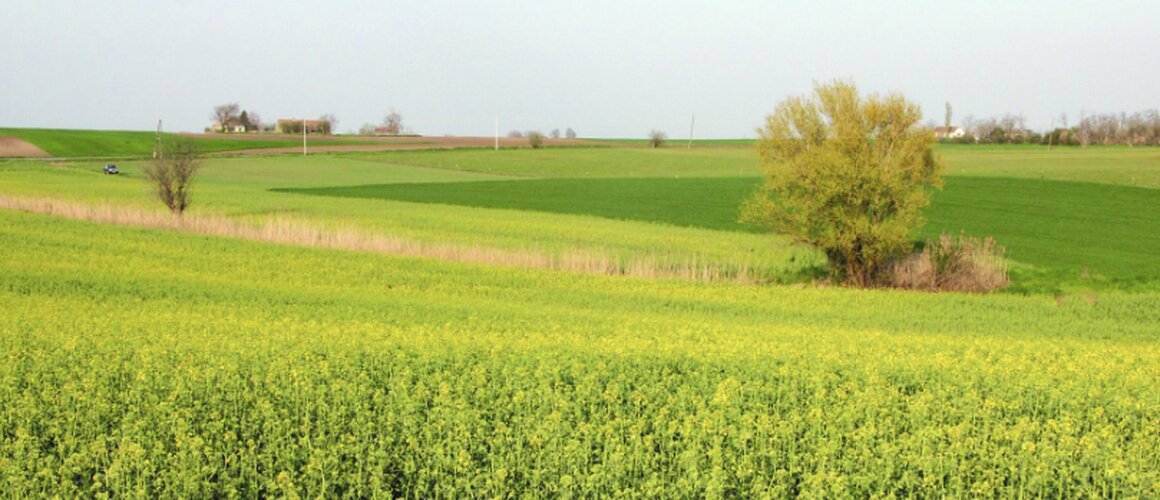 Subotički poljoprivrednici traže odgovore: Zašto se mjere potpore ne provode?