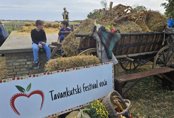 XV. Tavankutski festival voća i autohtonih rukotvorina