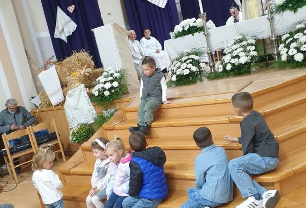 Miolje u Novom Slankamenu