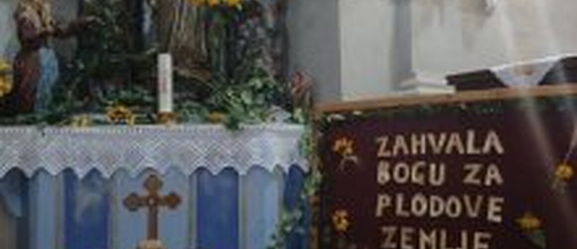 Mise zahvalnice u Hrtkovcima, Nikincima i Platičevu