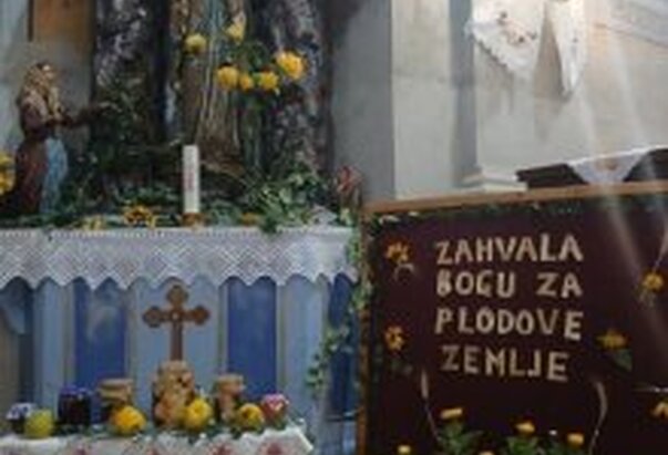 Mise zahvalnice u Hrtkovcima, Nikincima i Platičevu