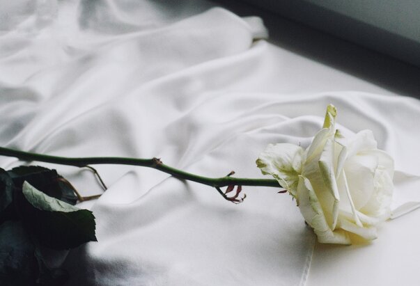 Predsjednik Palestinske samouprave Abbas posjetio grob pape Franje