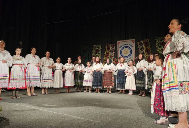 Šokačko veče u Sonti