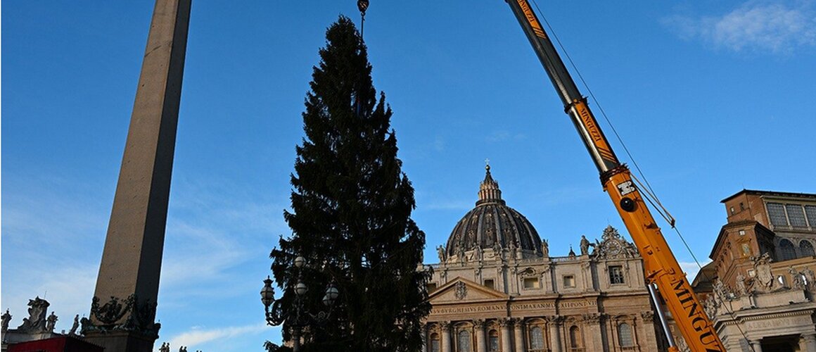 Božićno drvce postavljeno na Trgu svetog Petra