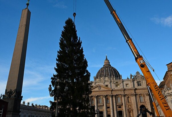 Božićno drvce postavljeno na Trgu svetog Petra