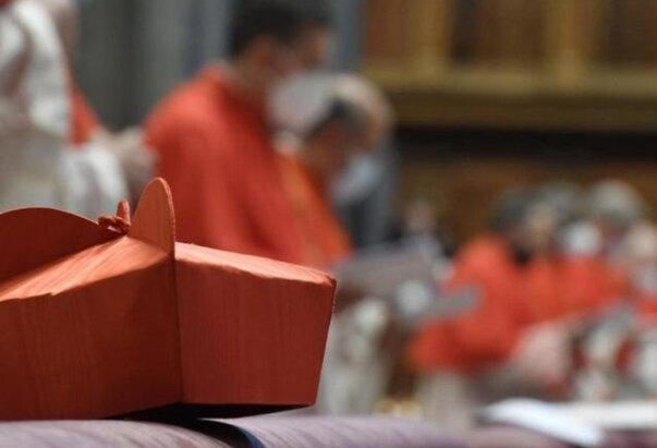 Papa želi razgovarati s kardinalima o kontroverznim pitanjima