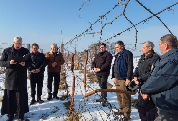 Blagdan Svetog Vinka u Rumi 