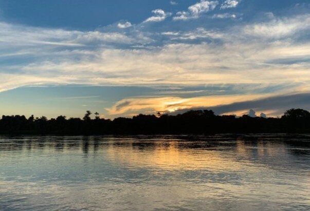 Papa o Amazoniji: Valja čuvati stvoreni svijet i poštovati život u svim njegovim oblicima