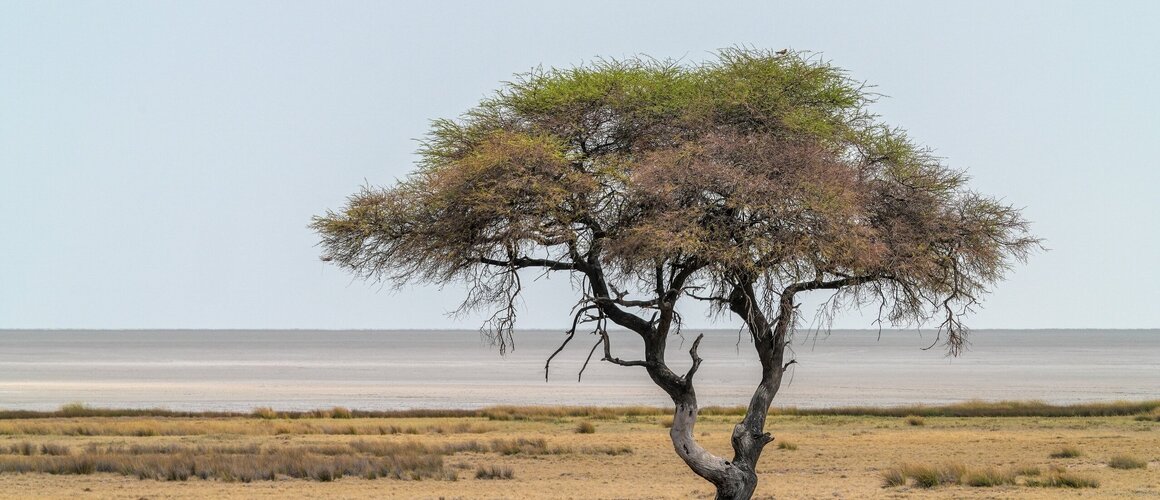 MIVA u 2025.: 252 projekta mobilnosti u 53 države