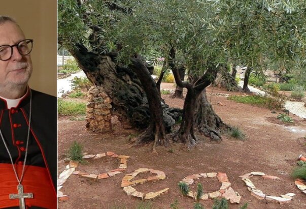 Kardinal Gugerotti pozvao katolike na potporu kolekti za Svetu zemlju