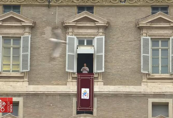 Papa Lav XIV.: Smrt i bol prouzročeni ratovima skandal su za cijelu ljudsku obitelj